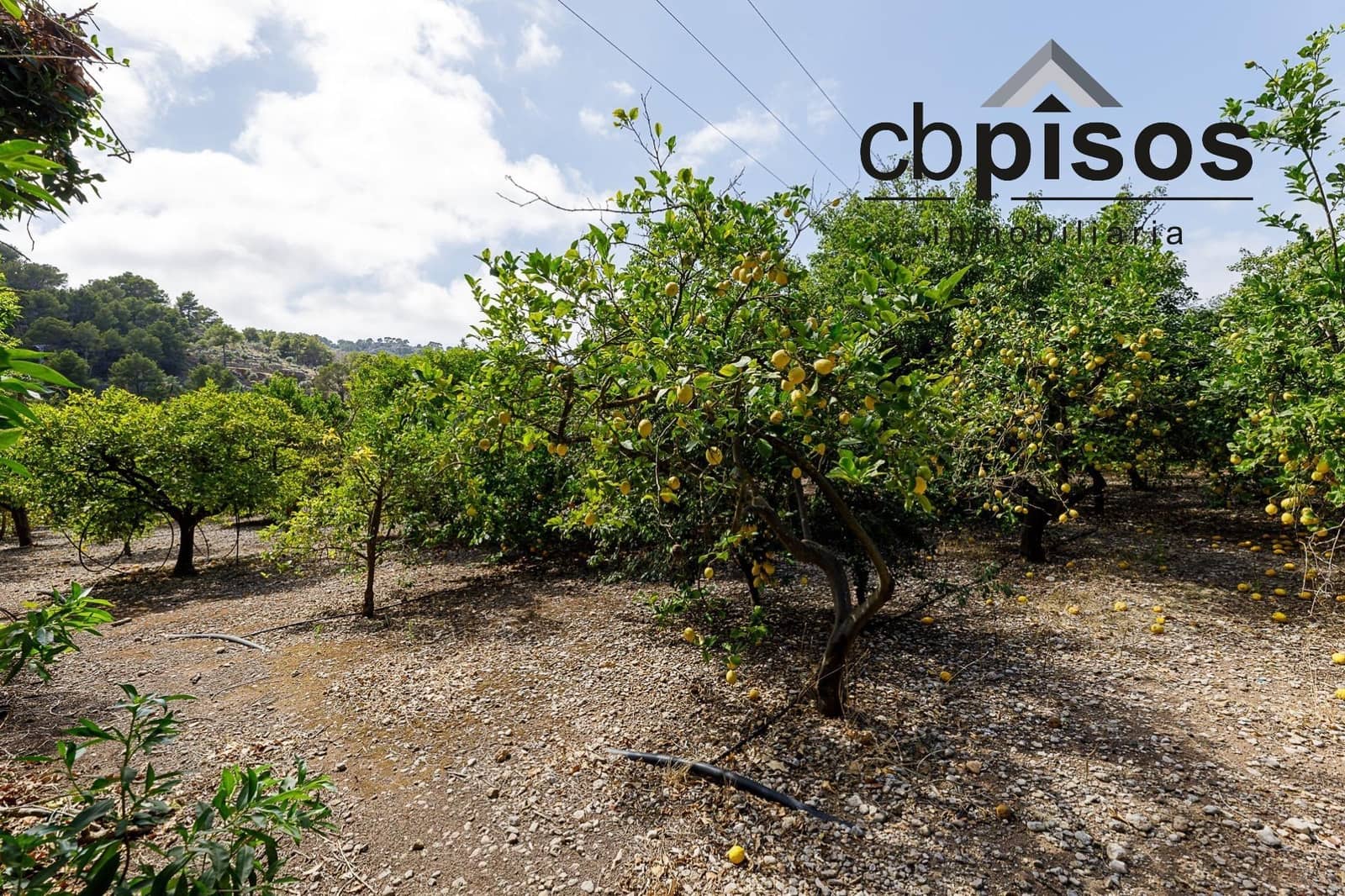 3 soveværelse Finca/Landehus til salg i Puerto de Soller / Port de Soller med garage - € 1.400.000 (Ref: 8423364)