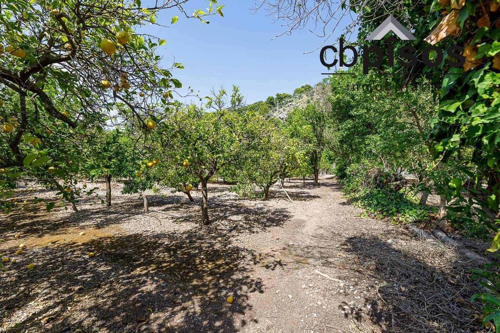3 soveværelse Finca/Landehus til salg i Puerto de Soller / Port de Soller med garage - € 1.400.000 (Ref: 8423364)