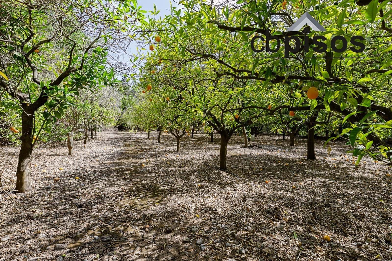 3 soveværelse Finca/Landehus til salg i Puerto de Soller / Port de Soller med garage - € 1.400.000 (Ref: 8423364)