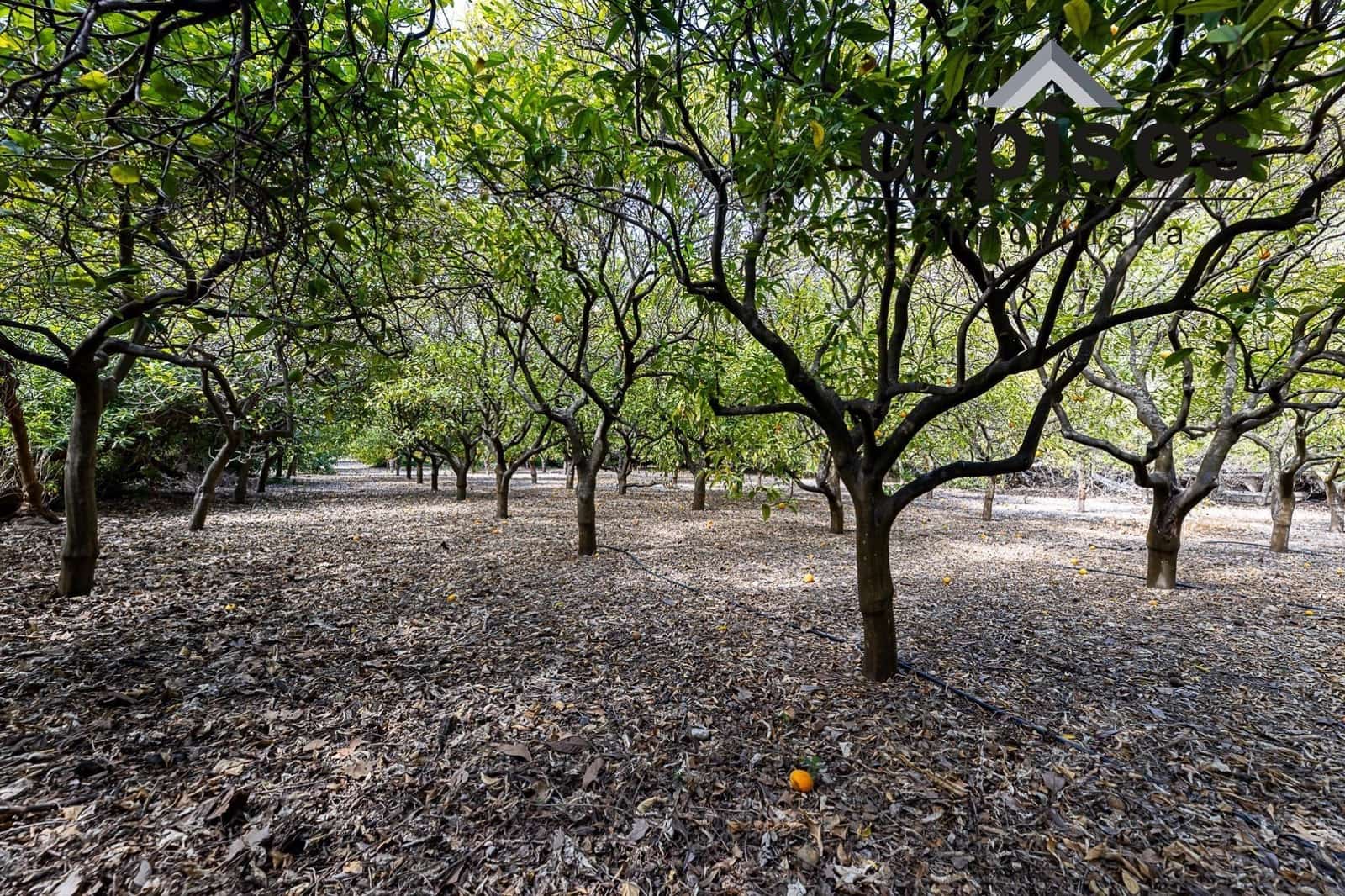 3 soveværelse Finca/Landehus til salg i Puerto de Soller / Port de Soller med garage - € 1.400.000 (Ref: 8423364)