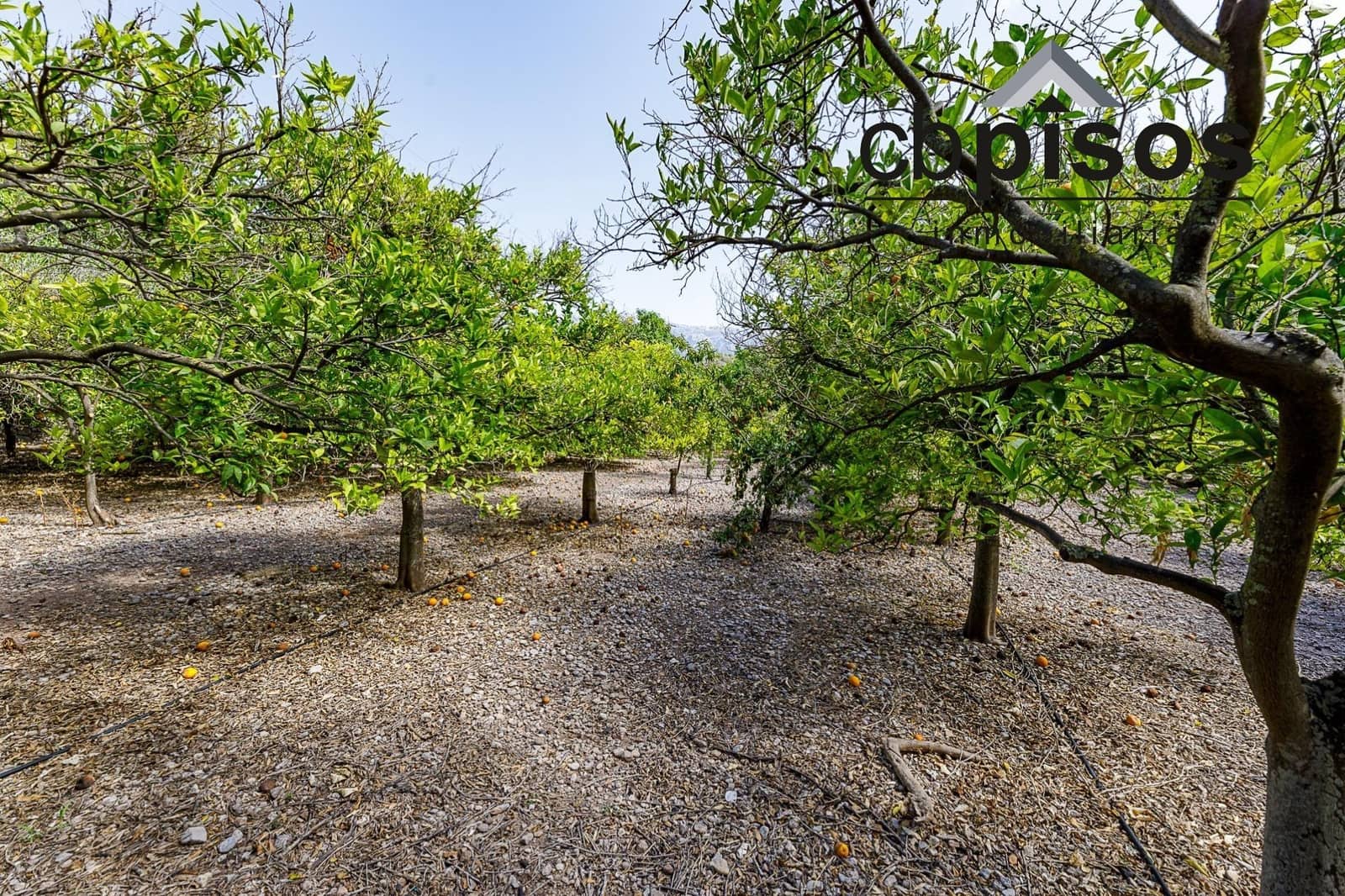 3 soveværelse Finca/Landehus til salg i Puerto de Soller / Port de Soller med garage - € 1.400.000 (Ref: 8423364)