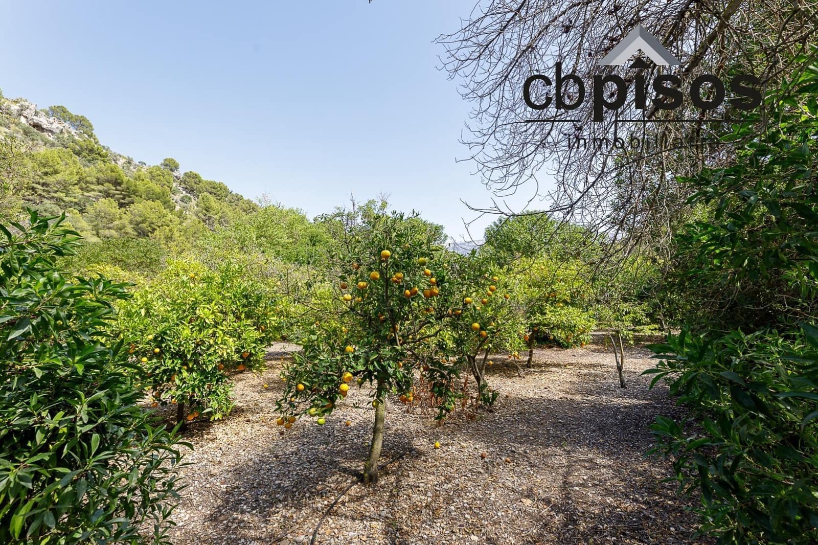 3 soveværelse Finca/Landehus til salg i Puerto de Soller / Port de Soller med garage - € 1.400.000 (Ref: 8423364)