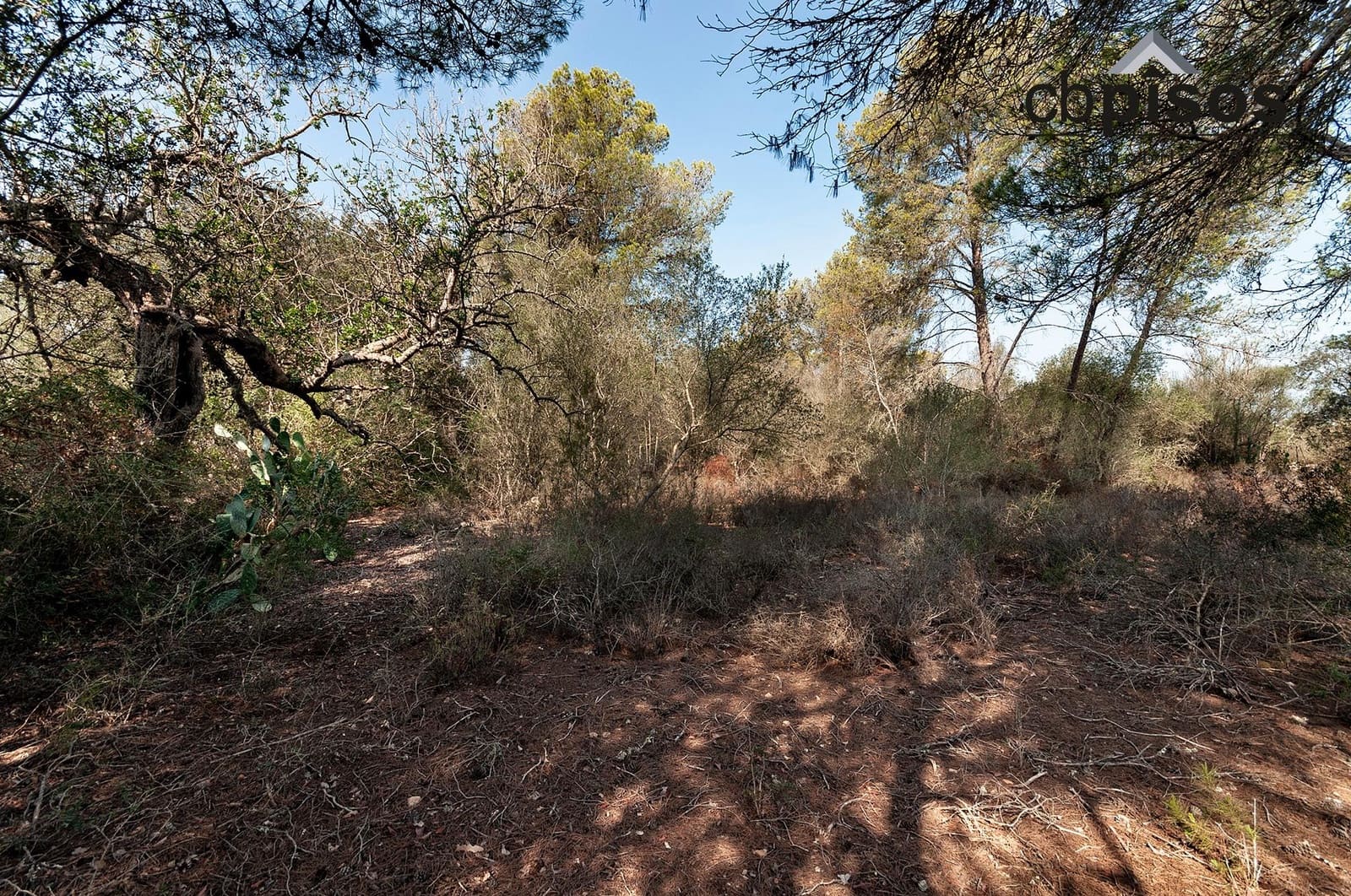 Finca/Country House for sale in Porreres - € 199,900 (Ref: 8488858)