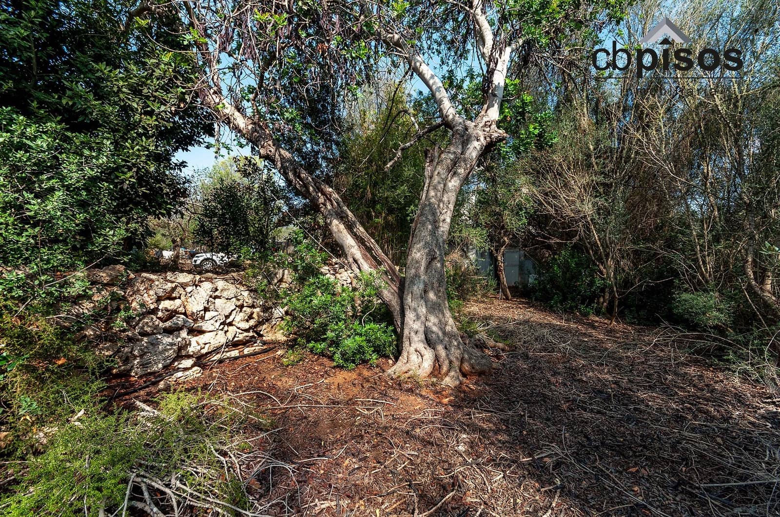 Finca/Country House for sale in Porreres - € 199,900 (Ref: 8488858)