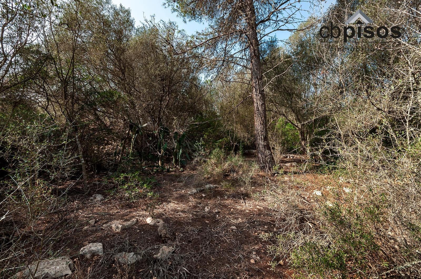 Finca/Country House for sale in Porreres - € 199,900 (Ref: 8488858)