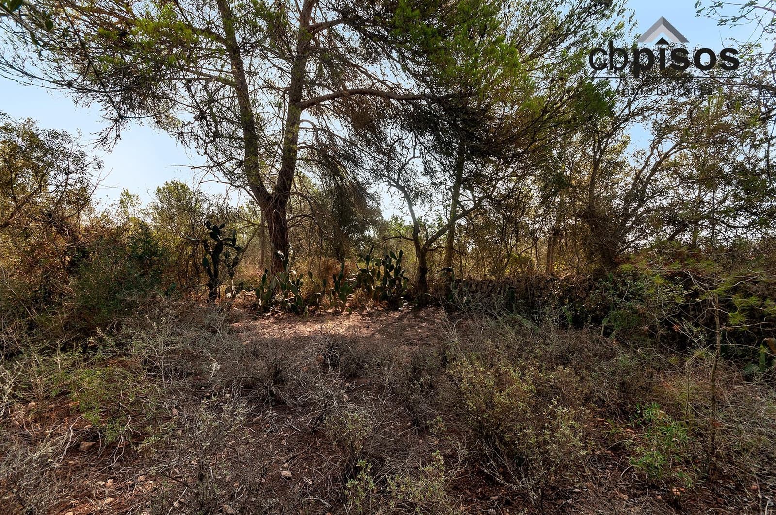 Finca/Country House for sale in Porreres - € 199,900 (Ref: 8488858)