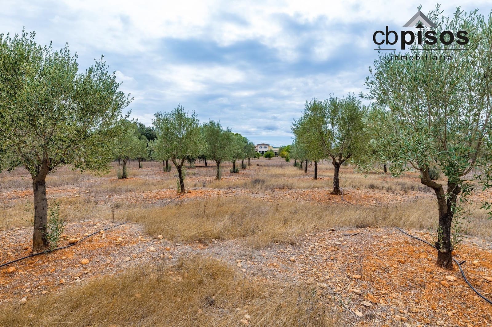 4 sypialnia Finka/Dom wiejski na sprzedaż w Algaida z basenem - 1 695 000 € (Ref: 8538937)