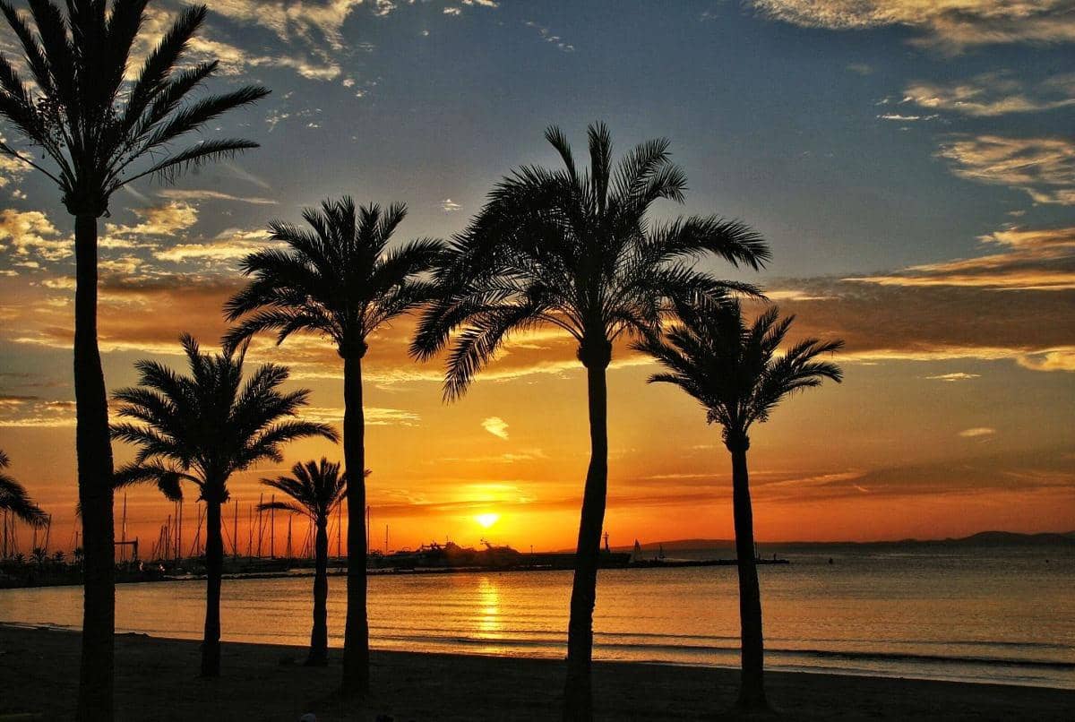 3 bedroom Semi-detached Villa for sale in Palma de Mallorca with garage - € 540,000 (Ref: 8652659)