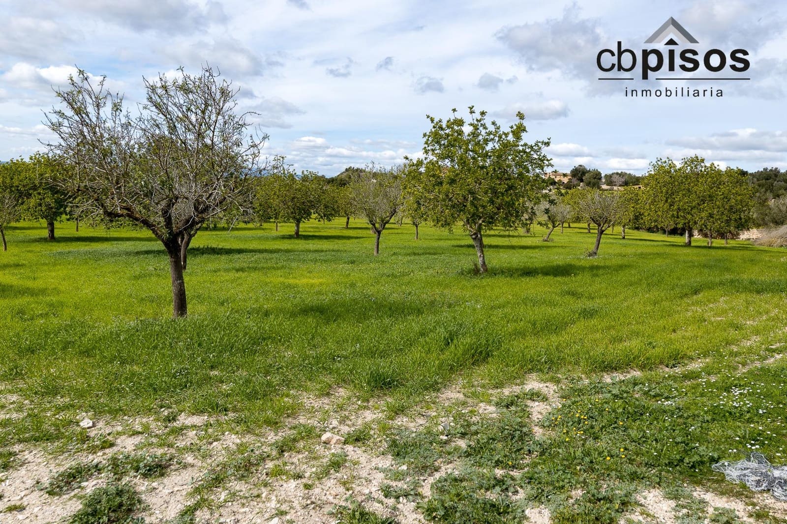 3 bedroom Finca/Country House for sale in Felanitx with garage - € 2,760,000 (Ref: 8857405)