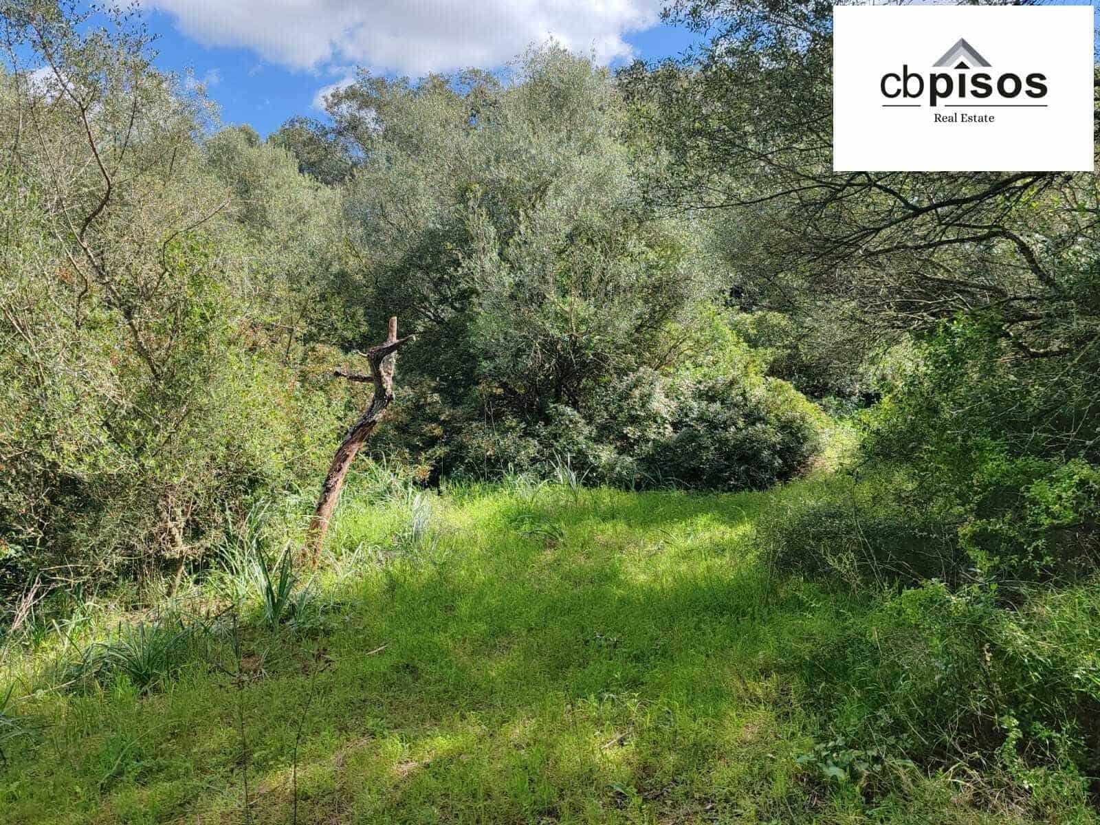Undeveloped Land for sale in Portol - € 35,000 (Ref: 9726765)