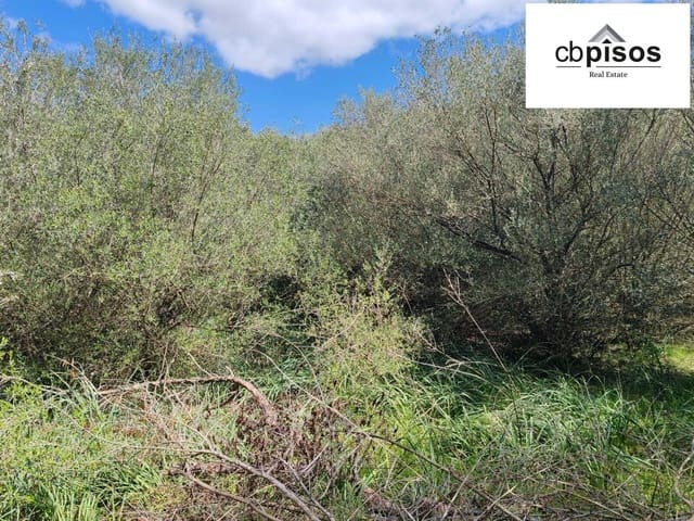 Grond te koop in Portol, Marratxí - € 35.000 (Ref: 9726765)