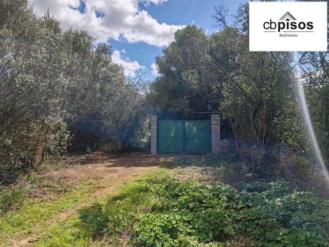 Grond te koop in Portol, Marratxí - € 35.000 (Ref: 9726765)