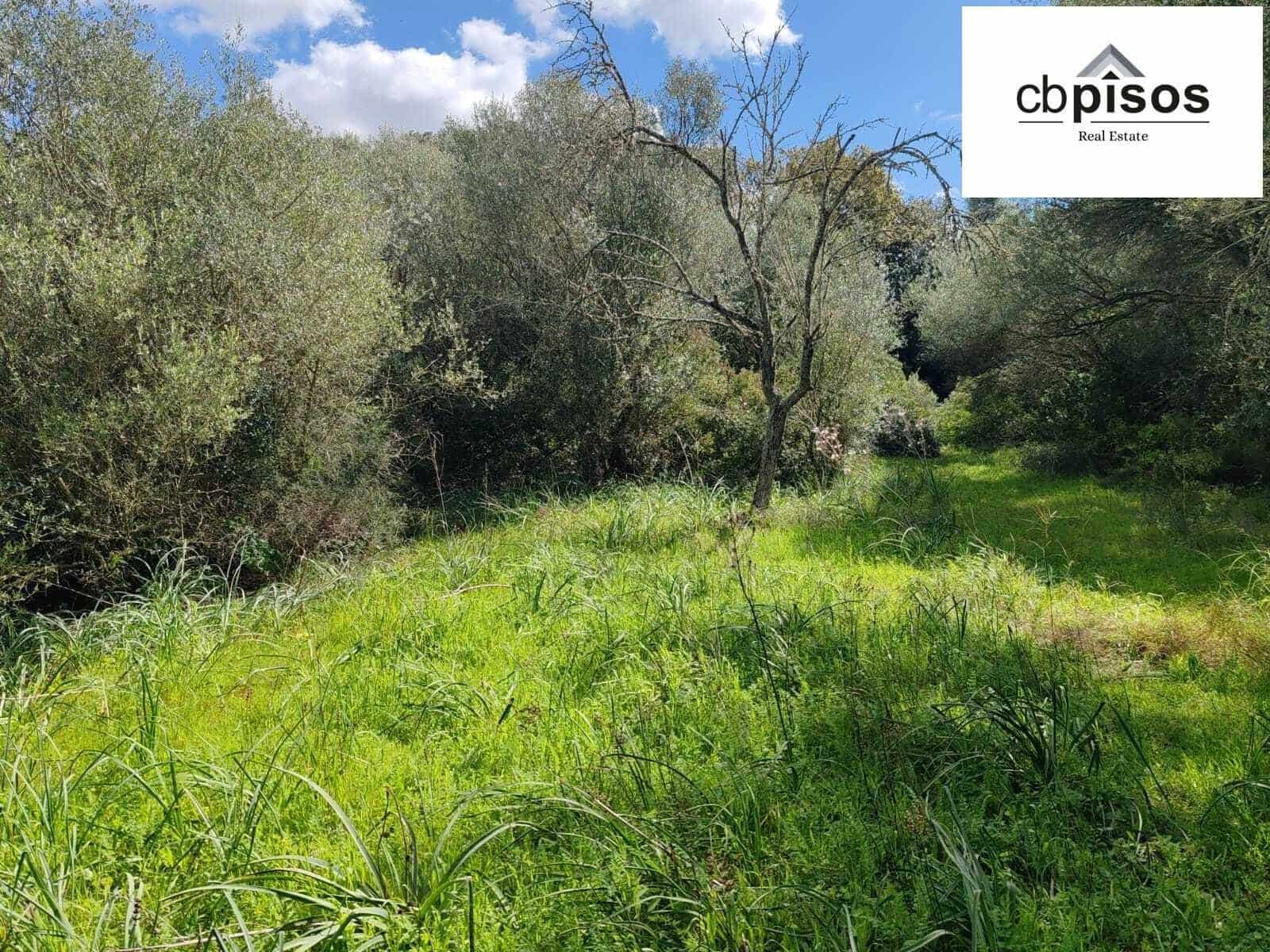 Undeveloped Land for sale in Portol - € 35,000 (Ref: 9726765)