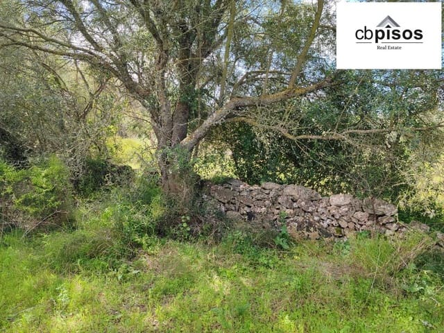 Grond te koop in Portol, Marratxí - € 35.000 (Ref: 9726765)