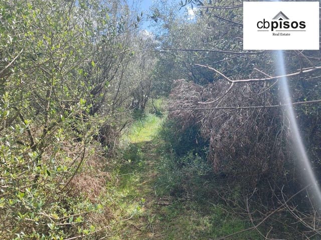 Grond te koop in Portol, Marratxí - € 35.000 (Ref: 9726765)