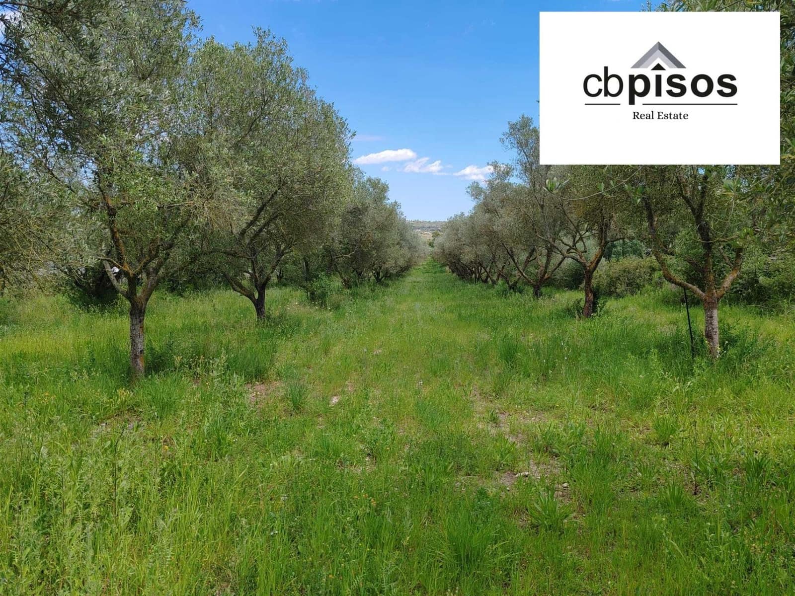 Undeveloped Land for sale in Montuiri - € 61,000 (Ref: 9788528)