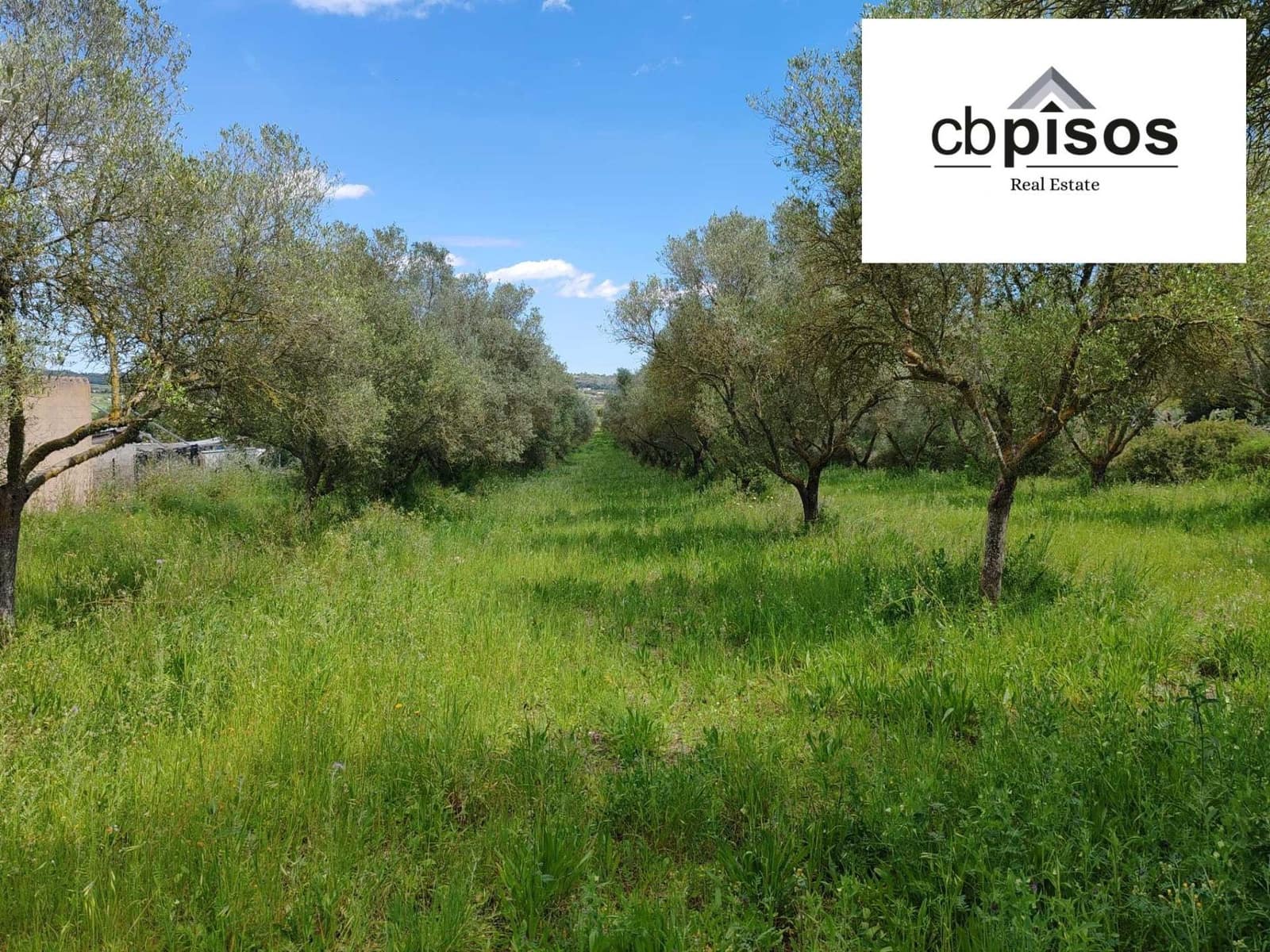 Undeveloped Land for sale in Montuiri - € 61,000 (Ref: 9788528)