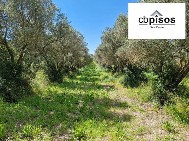 Teren niezagospodarowany na sprzedaż w Montuïri - 61 000 € (Ref: 9788528)