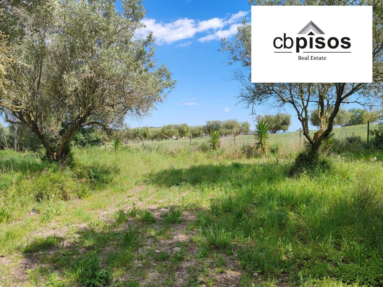 Undeveloped Land for sale in Montuiri - € 31,000 (Ref: 9788529)