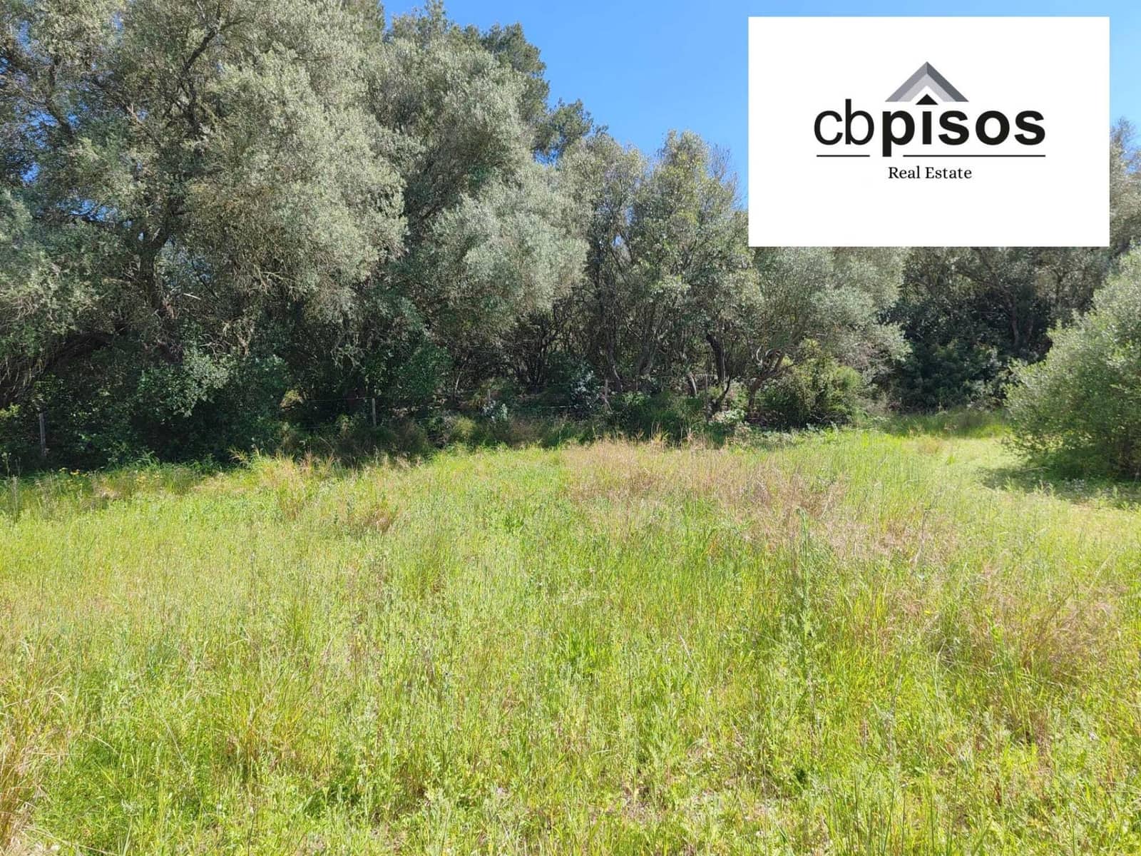Undeveloped Land for sale in Montuiri - € 31,000 (Ref: 9788529)