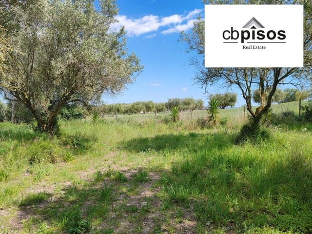 Terreno Non Edificato in vendita in Montuïri - 31.000 € (Rif: 9788529)