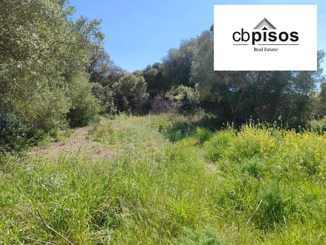 Terreno Non Edificato in vendita in Montuïri - 31.000 € (Rif: 9788529)