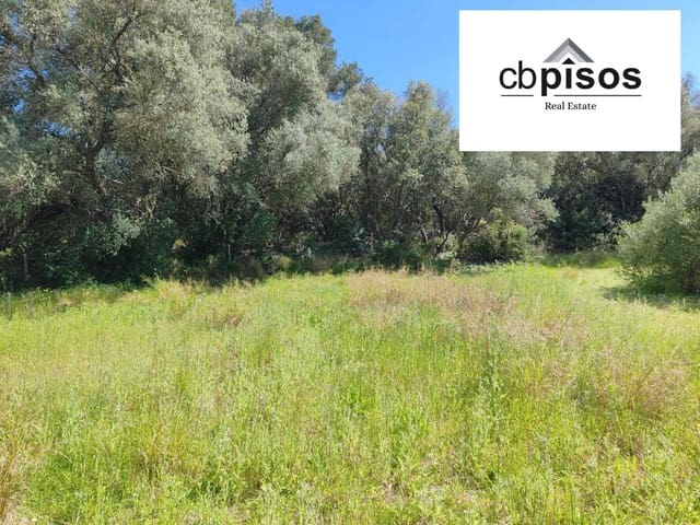 Terreno Non Edificato in vendita in Montuïri - 31.000 € (Rif: 9788529)