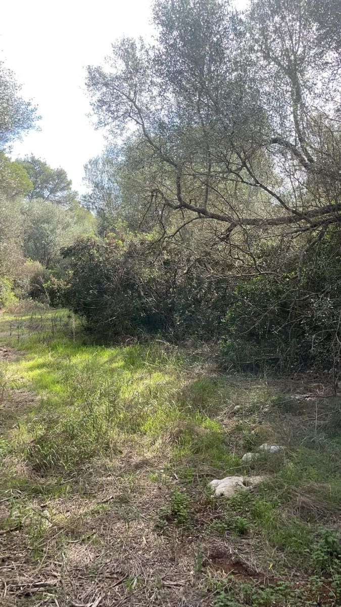 Area Edificabile in vendita in Felanitx - 210.000 € (Rif: 10161631)
