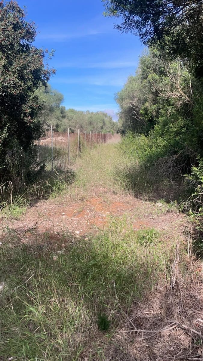 Area Edificabile in vendita in Felanitx - 210.000 € (Rif: 10161631)
