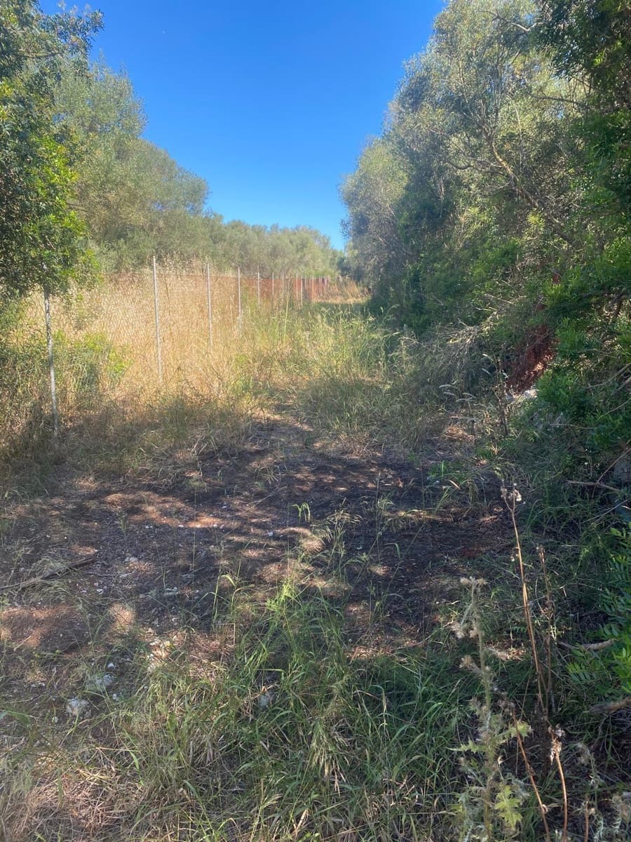 Area Edificabile in vendita in Felanitx - 210.000 € (Rif: 10161631)
