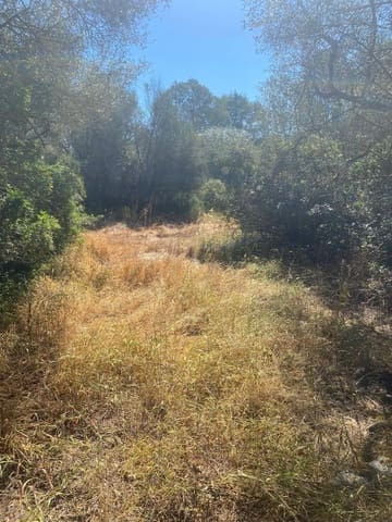 Area Edificabile in vendita in Felanitx - 210.000 € (Rif: 10161631)