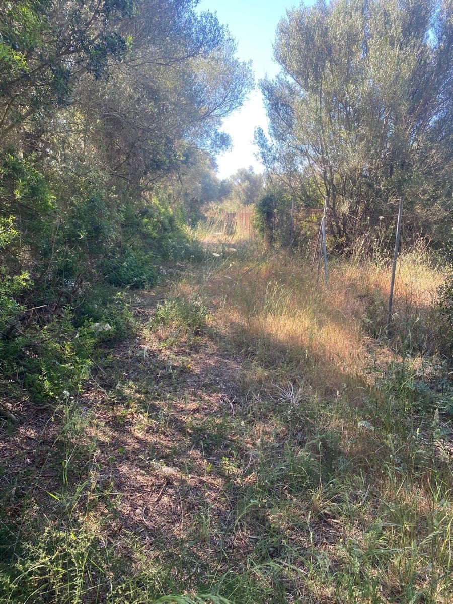 Area Edificabile in vendita in Felanitx - 210.000 € (Rif: 10161631)