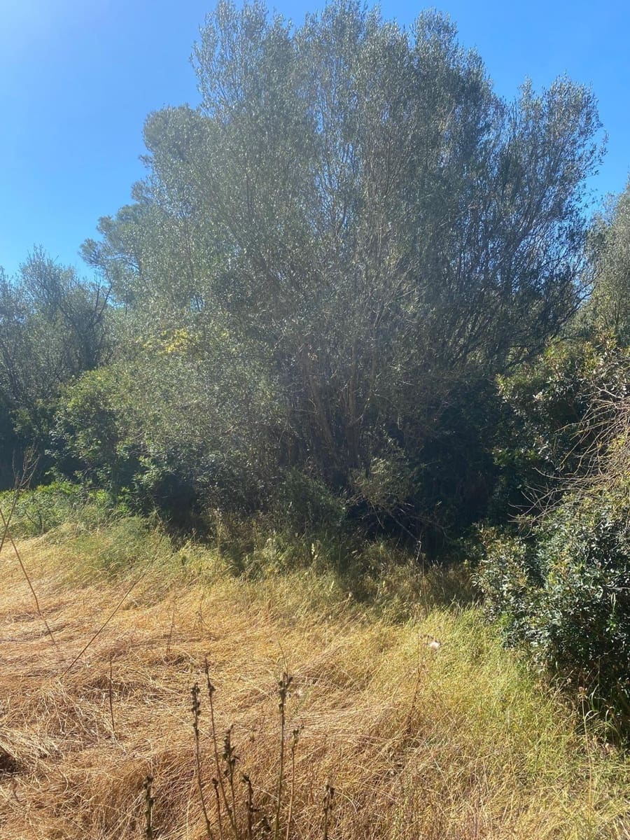 Area Edificabile in vendita in Felanitx - 210.000 € (Rif: 10161631)