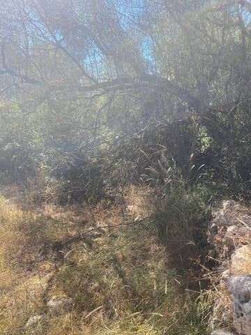 Area Edificabile in vendita in Felanitx - 210.000 € (Rif: 10161631)
