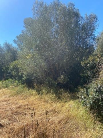 Area Edificabile in vendita in Felanitx - 210.000 € (Rif: 10161631)
