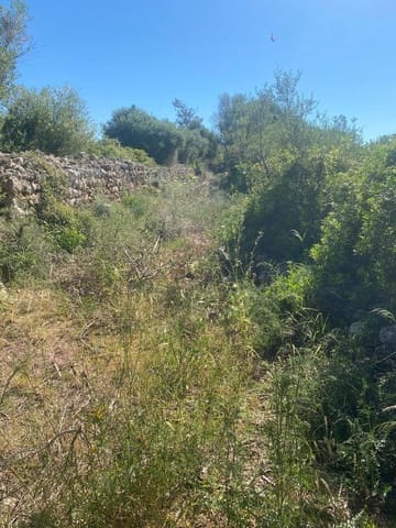 Area Edificabile in vendita in Felanitx - 210.000 € (Rif: 10161631)