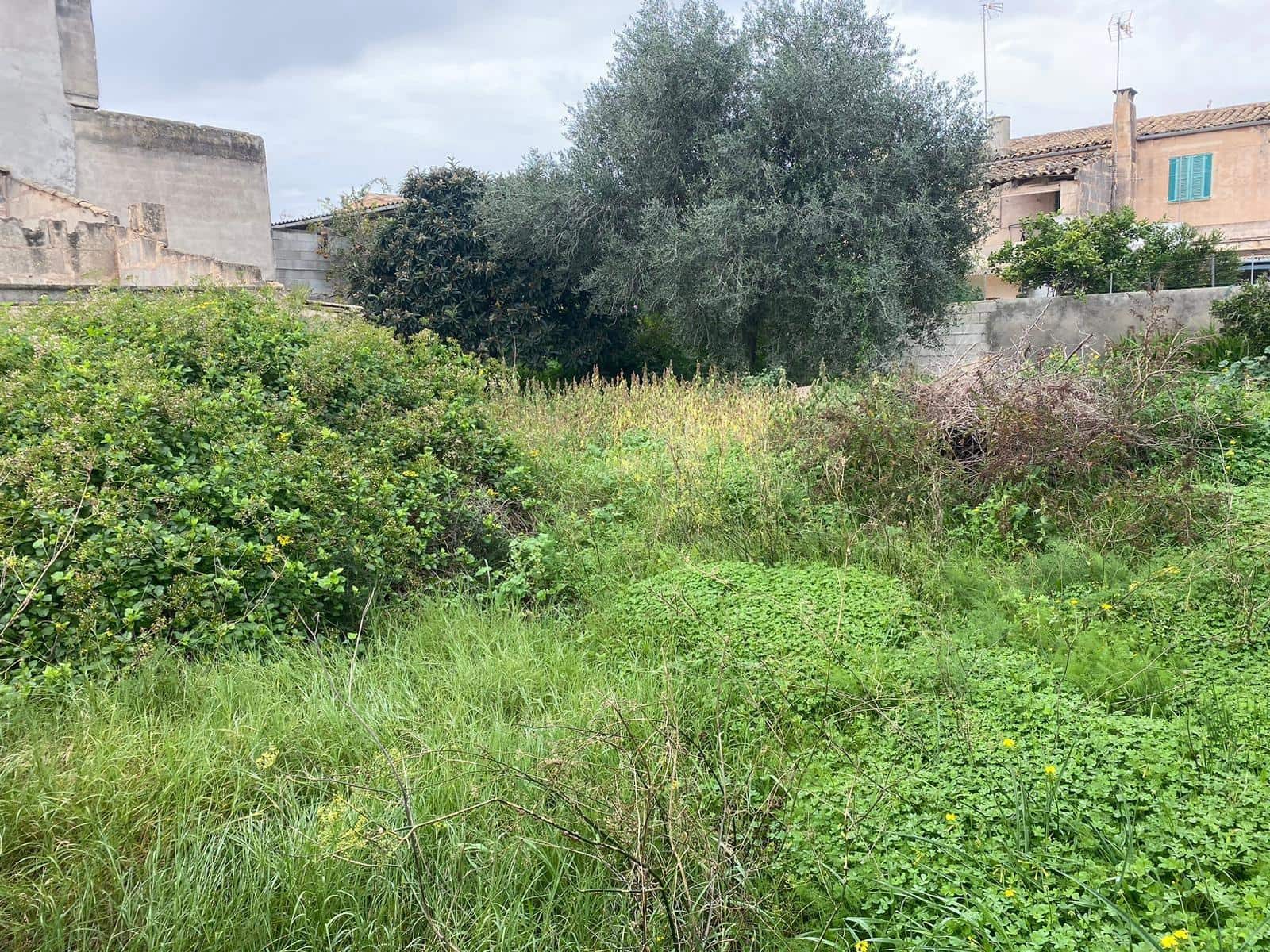 Tomt till salu i Porreres - 350 000 € (Ref: 8728098)