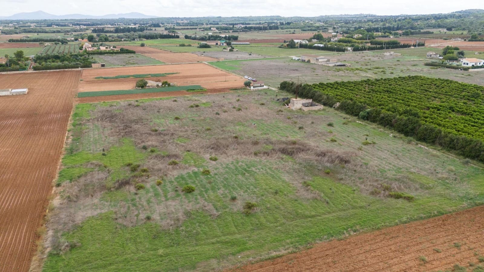Building Plot for sale in Muro - € 212,100 (Ref: 9313722)