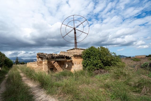 Terrain à Bâtir à vendre à Muro - 212 100 € (Ref: 9313722)