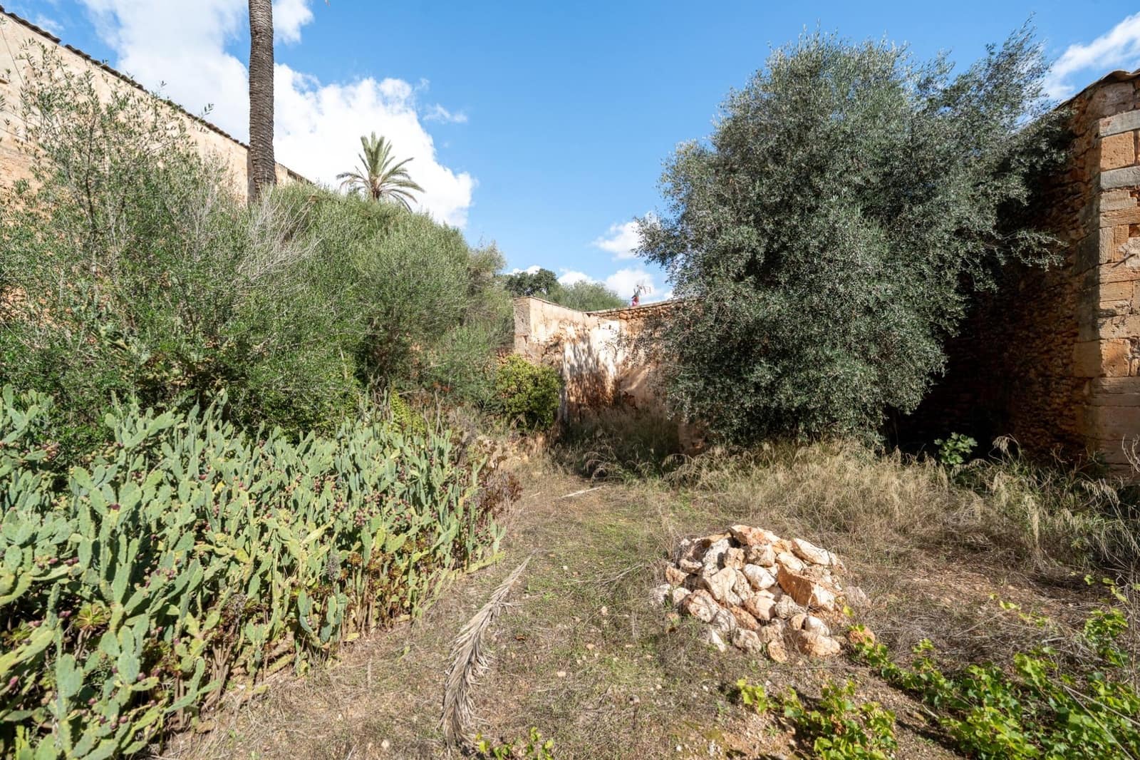 5 soveværelse Villa til salg i Campos med garage - € 559.500 (Ref: 9335163)