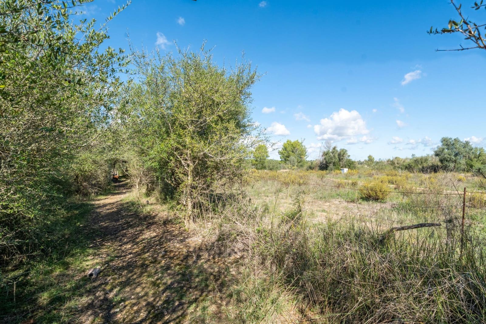 Grond te koop in Petra - € 70.000 (Ref: 9355995)