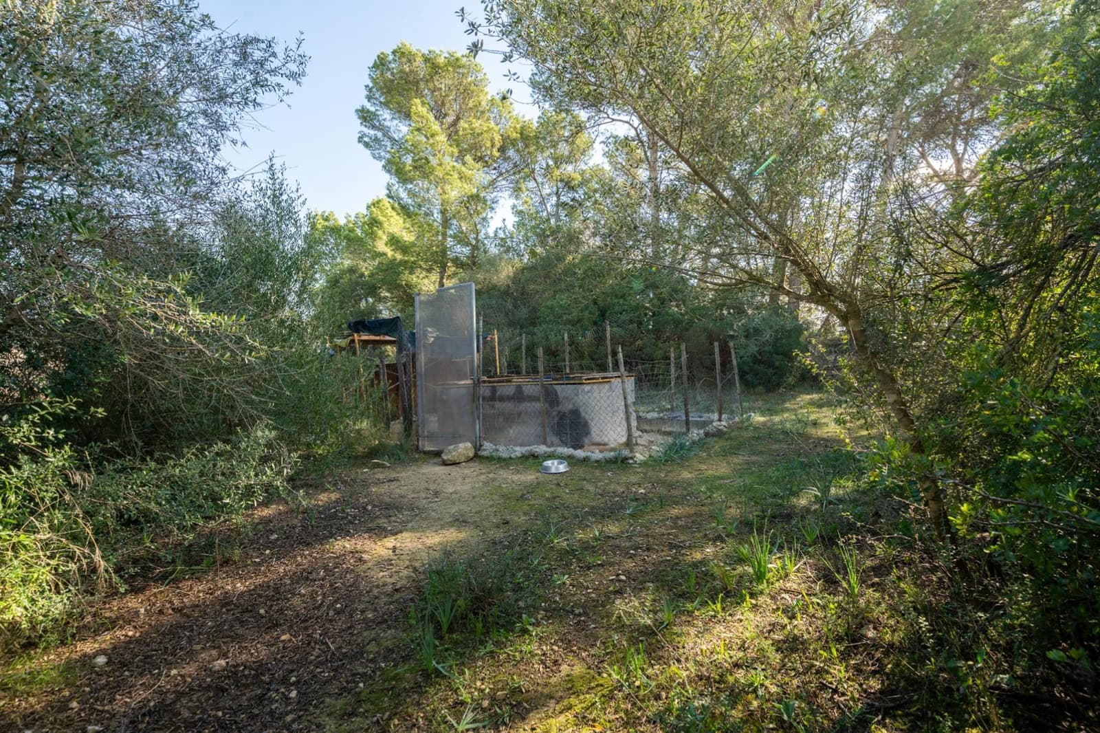 Grond te koop in Petra - € 70.000 (Ref: 9355995)