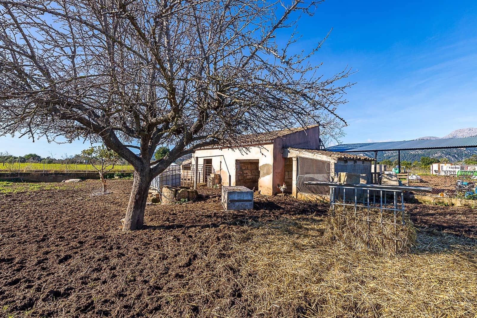 Rakentamaton maa myytävänä paikassa Selva - 129 900 € (Ref: 9497534)