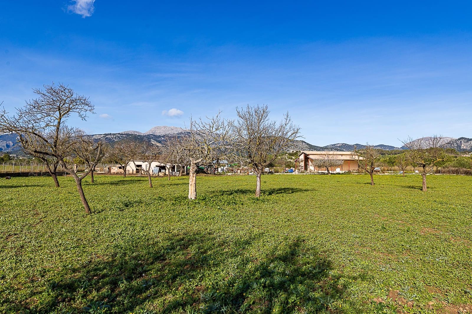 1 soverom Finca/Herregård til salgs i Selva - € 129 900 (Ref: 9497534)