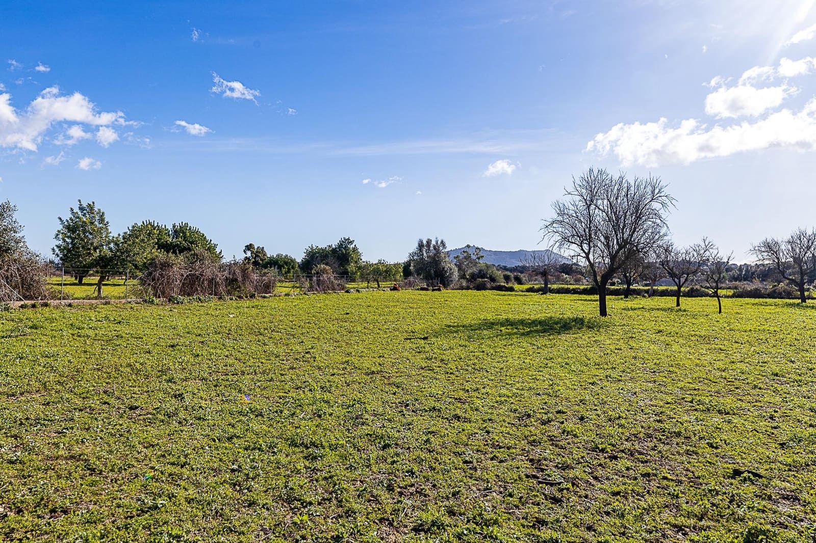 1 soverom Finca/Herregård til salgs i Selva - € 129 900 (Ref: 9497534)