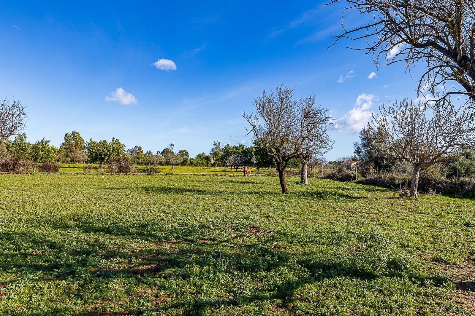 1 soverom Finca/Herregård til salgs i Selva - € 129 900 (Ref: 9497534)