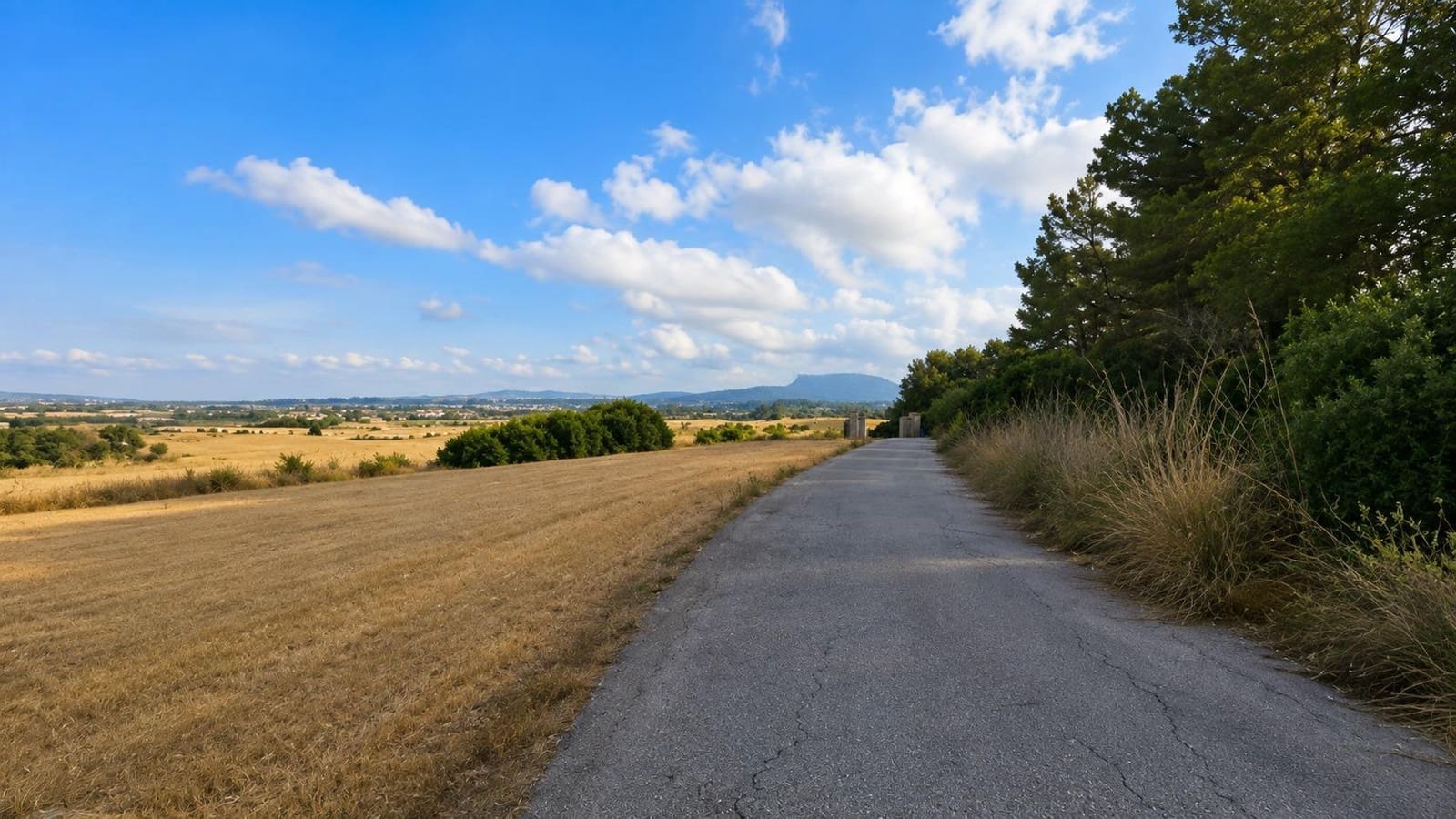 Area Edificabile in vendita in Algaida - 425.000 € (Rif: 10027427)