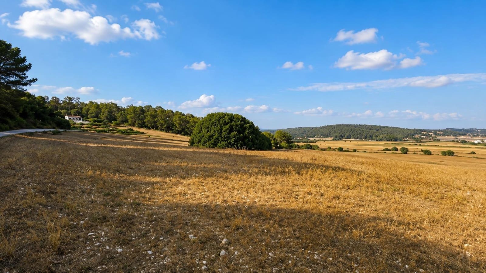 Area Edificabile in vendita in Algaida - 425.000 € (Rif: 10027427)