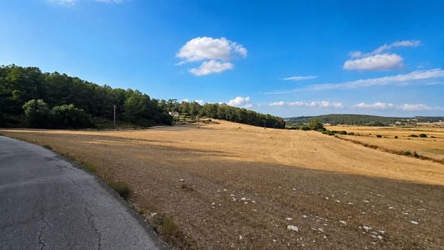 Terreno Não Urbanizado para venda em Algaida - 425 000 € (Ref: 10027427)