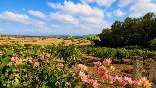 Finca/Casa Rural de 2 habitaciones en Algaida en venta - 1.065.000 € (Ref: 10027428)